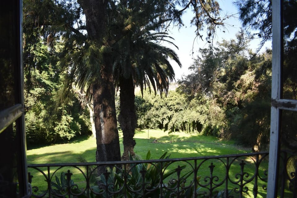 Natural landscape, Garden view