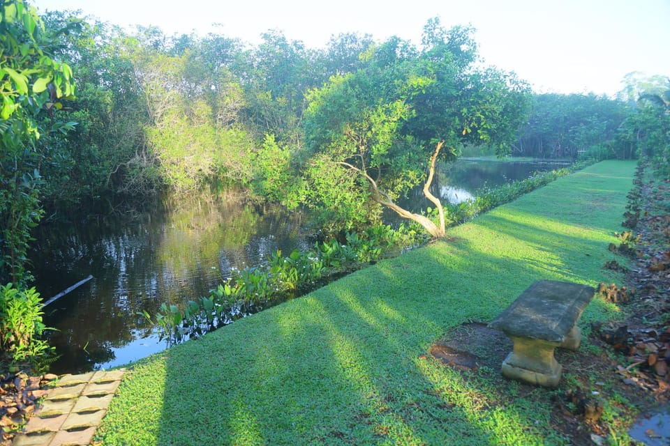 Natural landscape, Garden view, Lake view