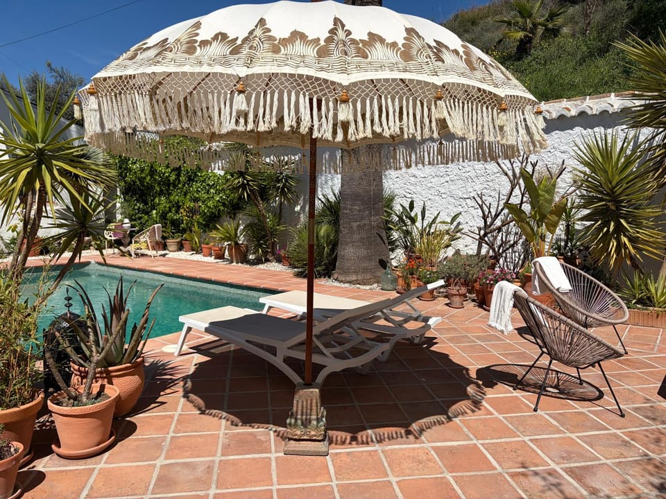 Property building, Patio, Spring, Day, Garden, View (from property/room), Swimming pool, sunbed