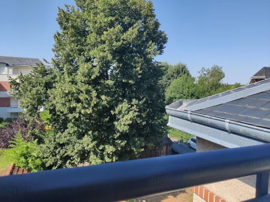 Day, Garden view