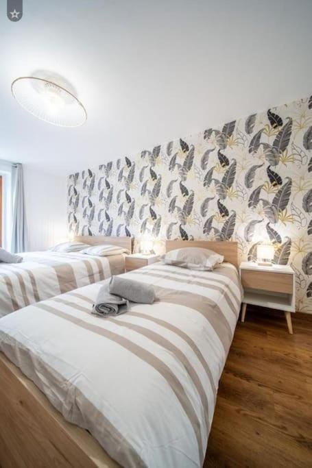 Le Budapest Apartment in Auvergne-Rhône-Alpes