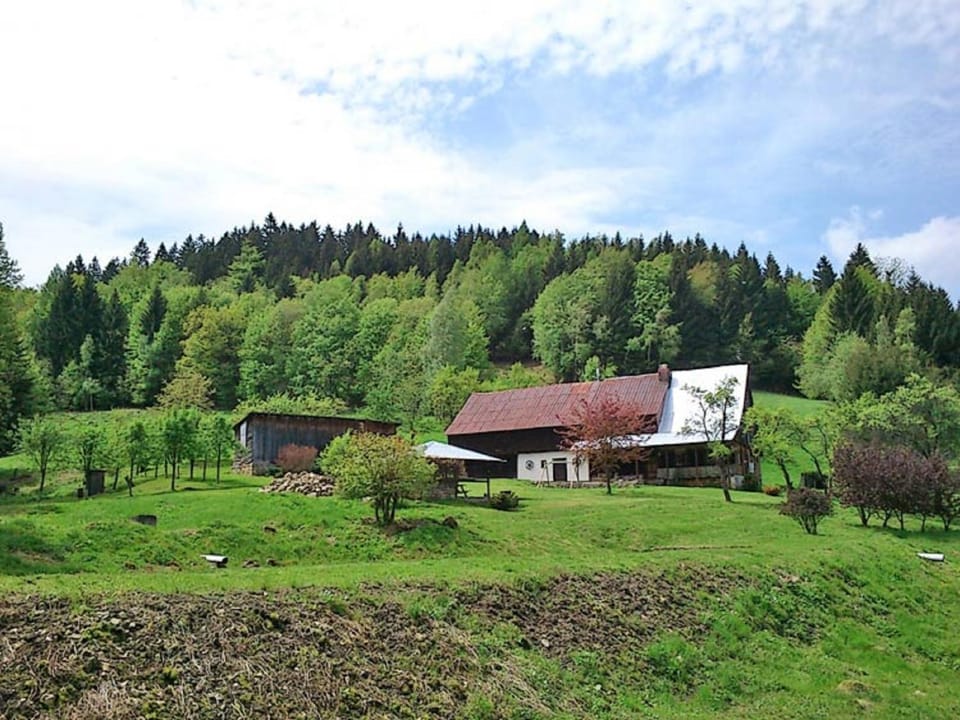 Neighbourhood, Area and facilities