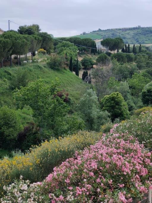 HolidayHome Manetta tra Mare e Natura Apartment in Abruzzo