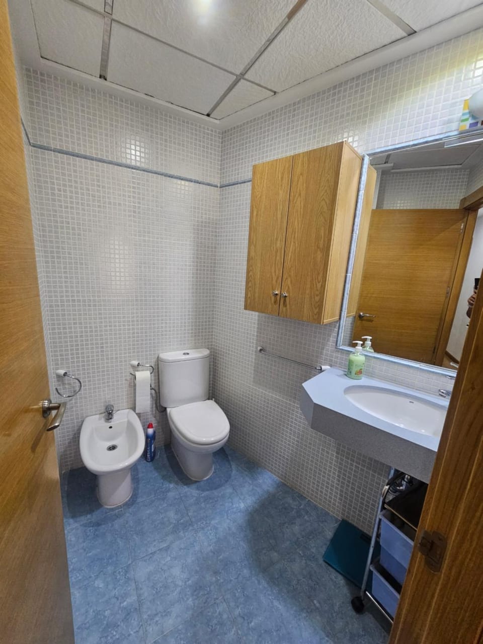 Toilet, bidet