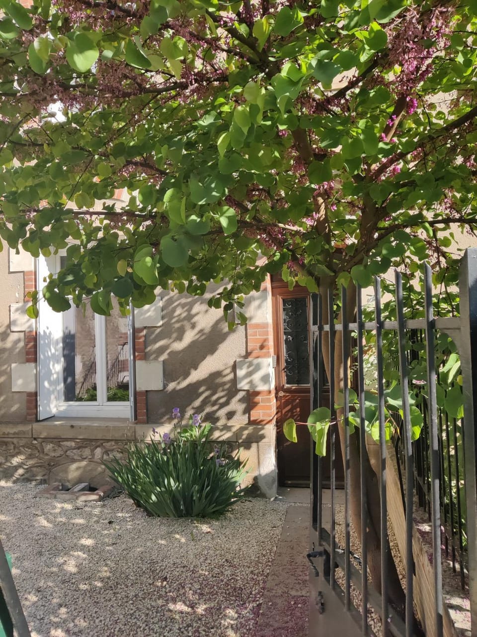 Property building, Spring