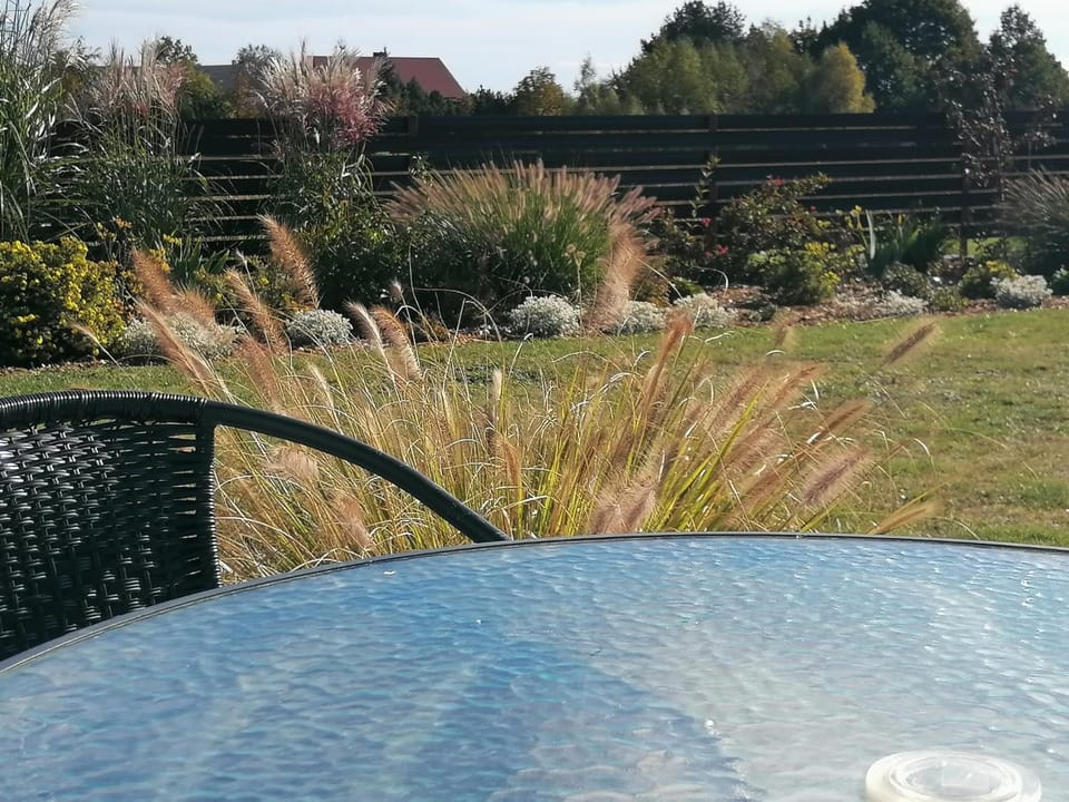 Balcony/Terrace, Garden view