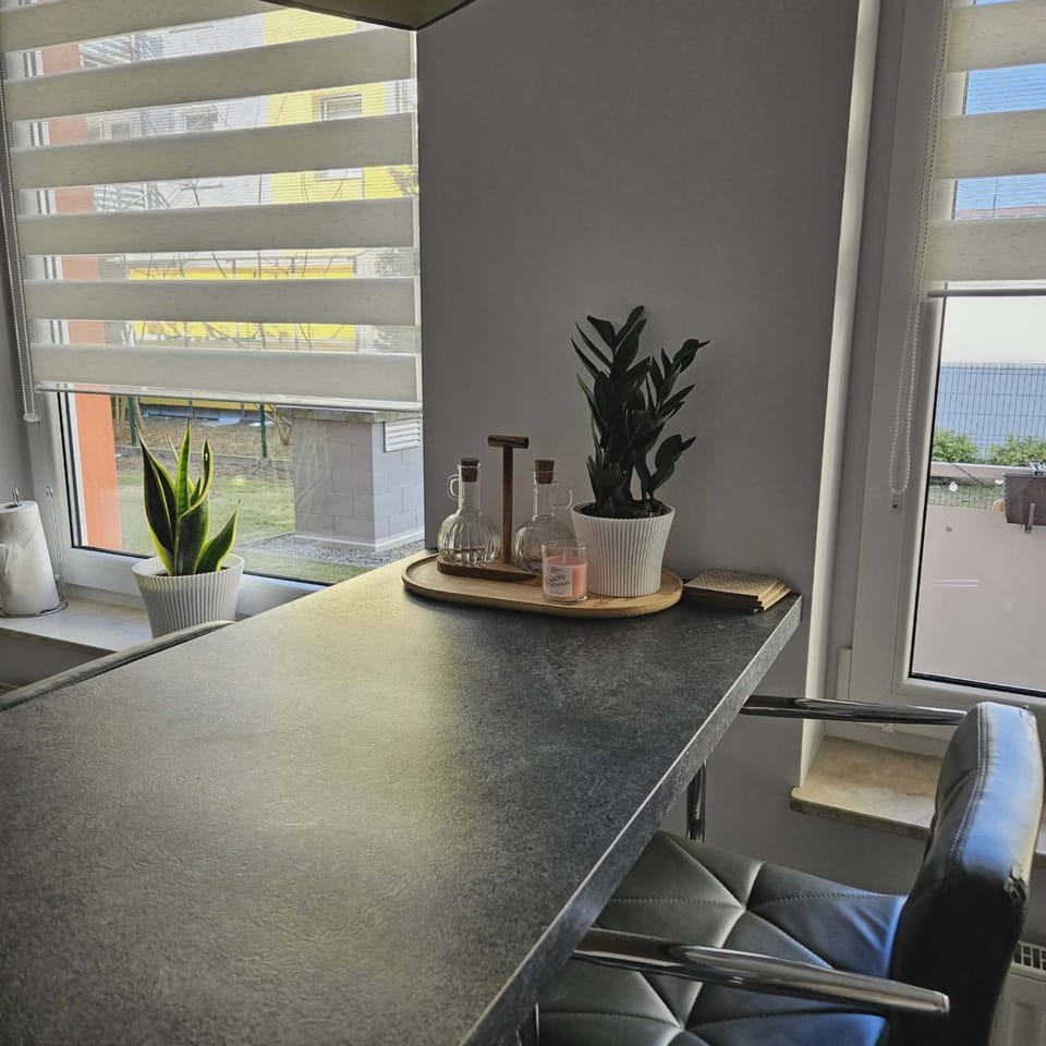 Family Apartament Apartment in Poland