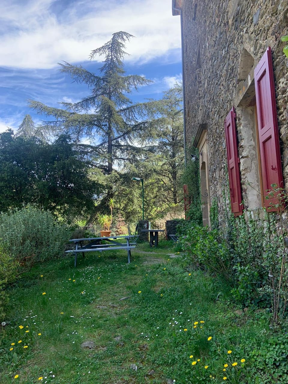 Garden view