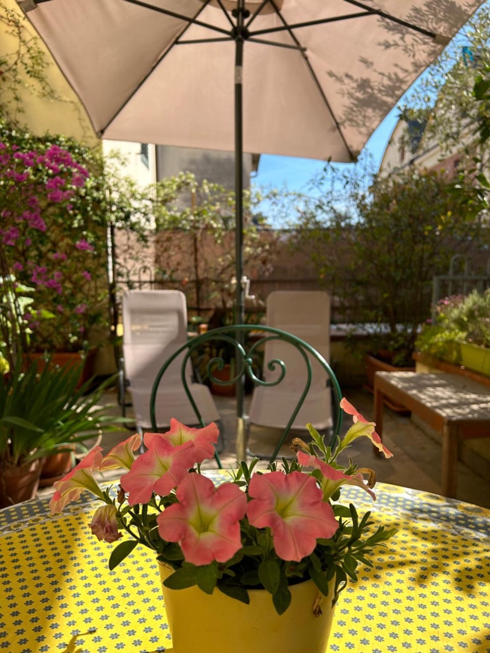 Balcony/Terrace, Cycling, Sports, Parking, internet, sunbed