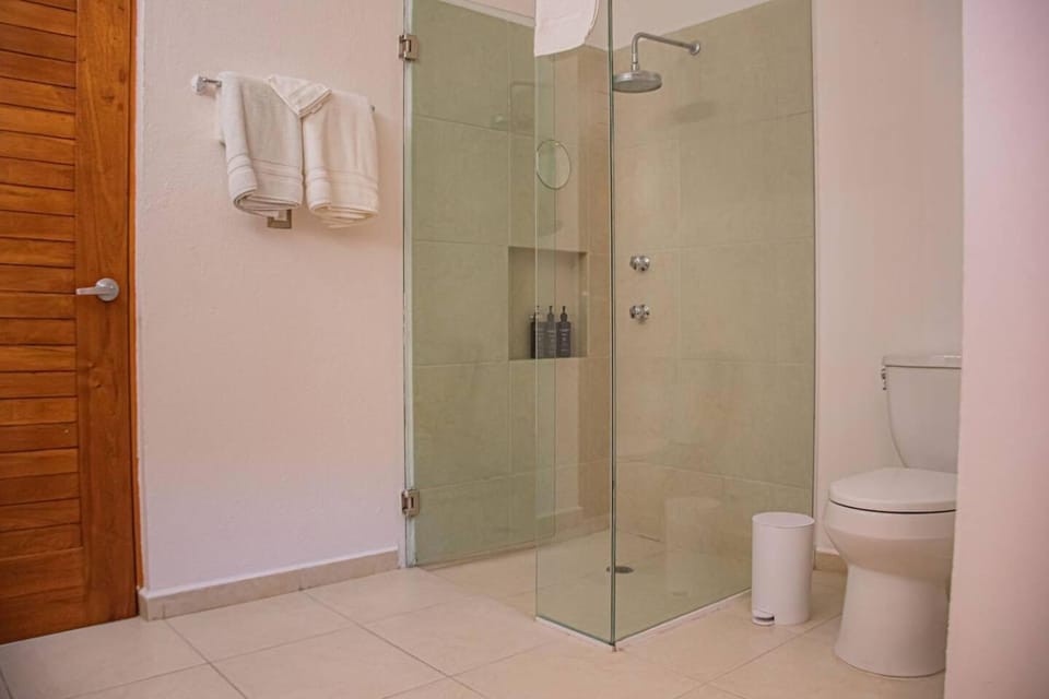 Shower, Toilet, towels