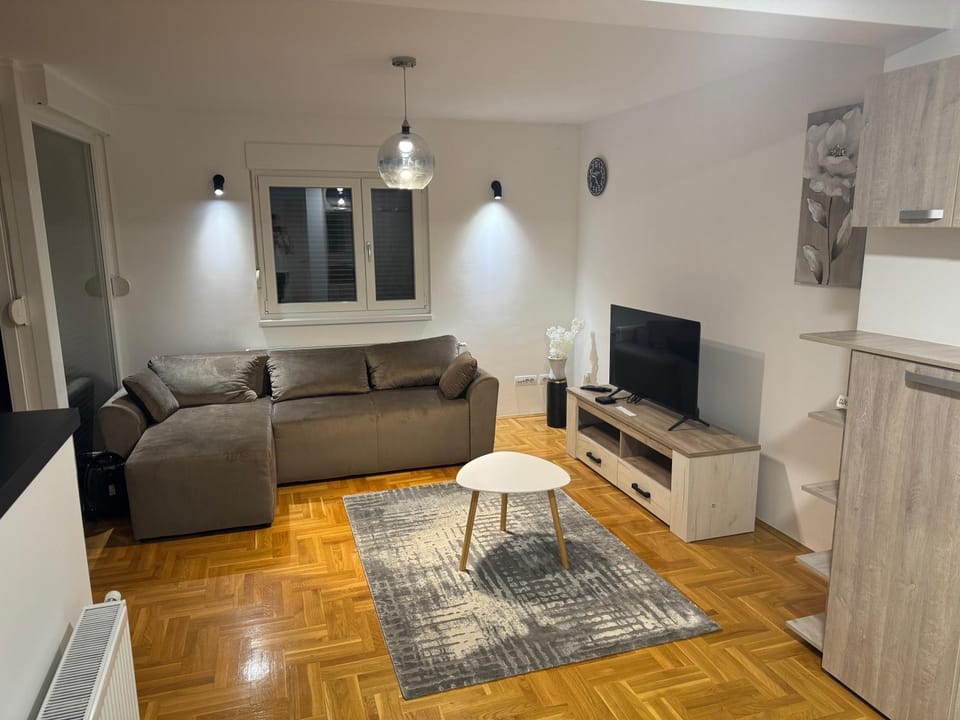 Apartman Radojevic Apartment in Serbia