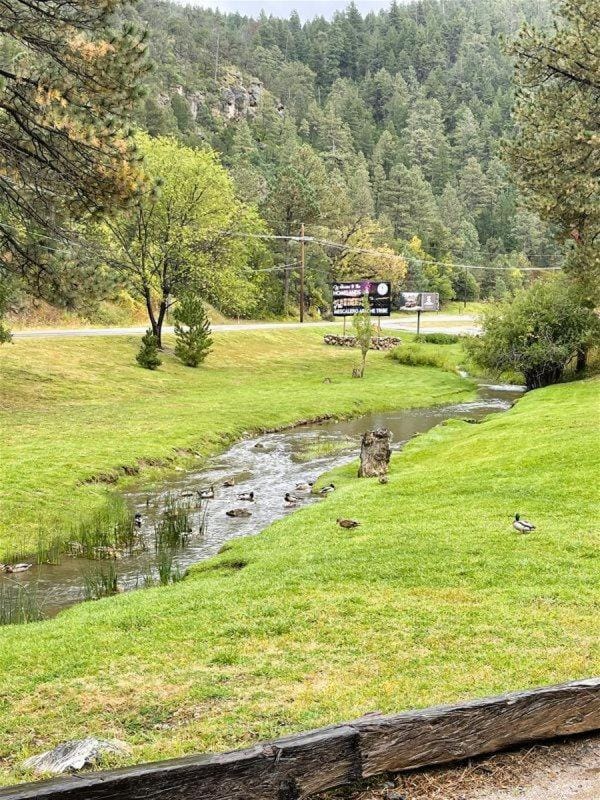 Cottages at Canyon Creek #2 House in Ruidoso