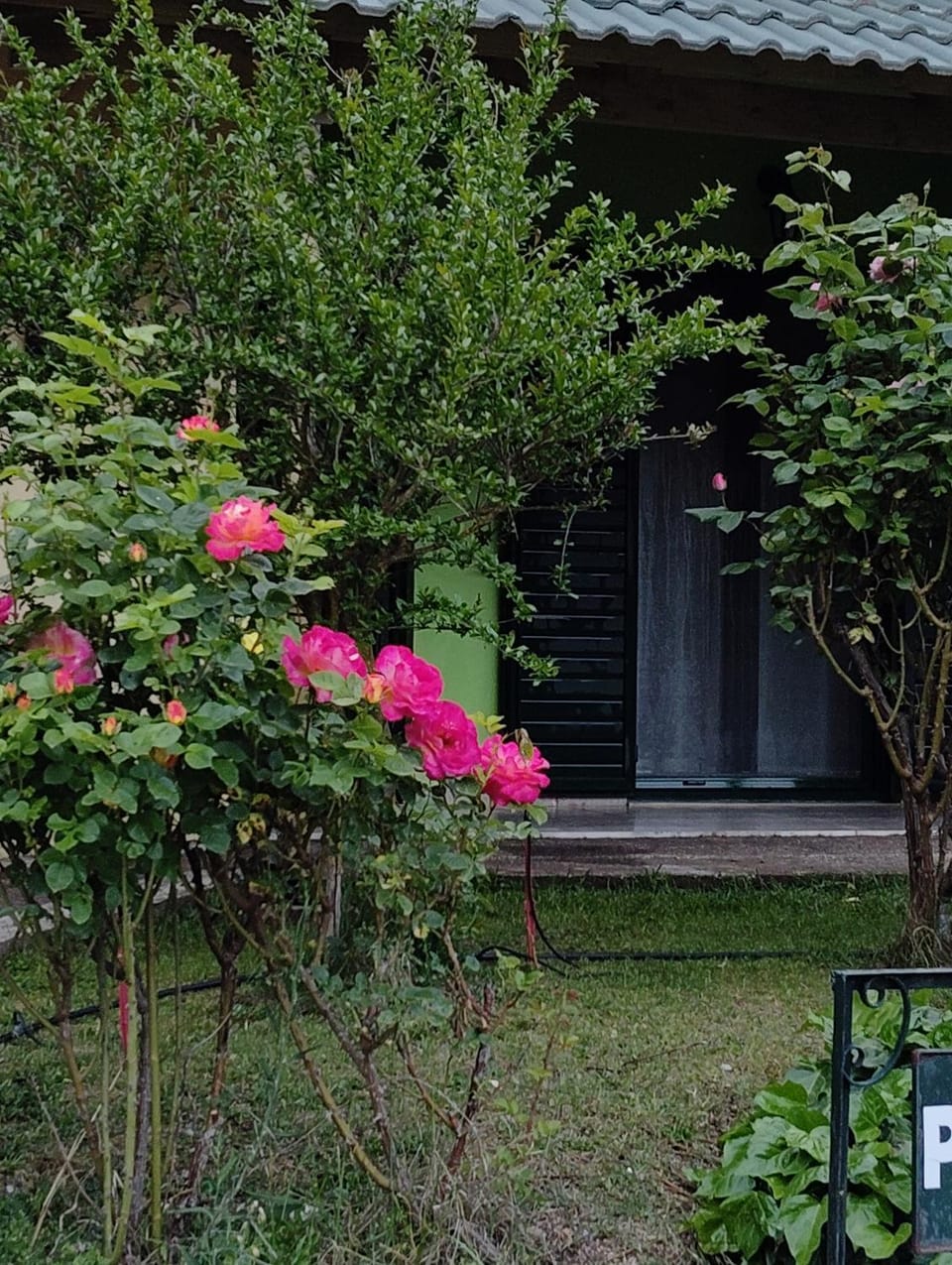 Property building, Facade/entrance, Spring, Day, Garden, Garden view