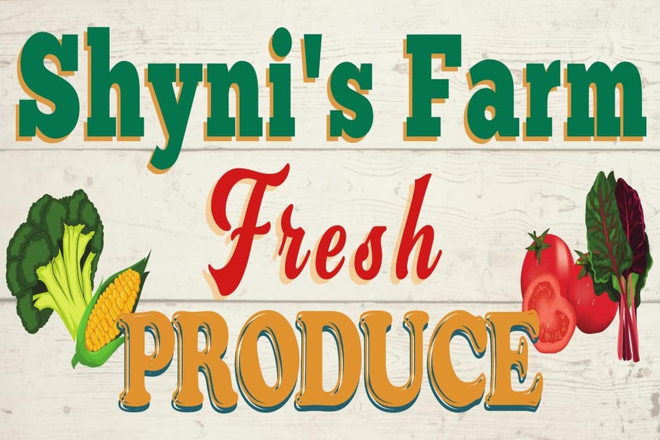 Sunny Island Cliff Side Views Apartment in Anacortes