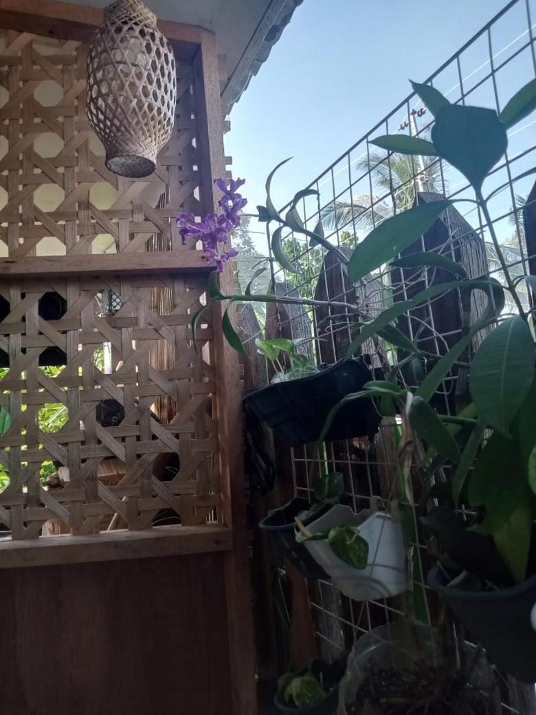 Day, Balcony/Terrace
