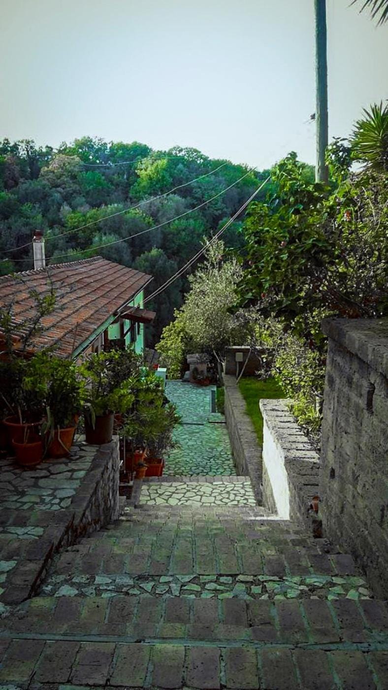 Quiet street view