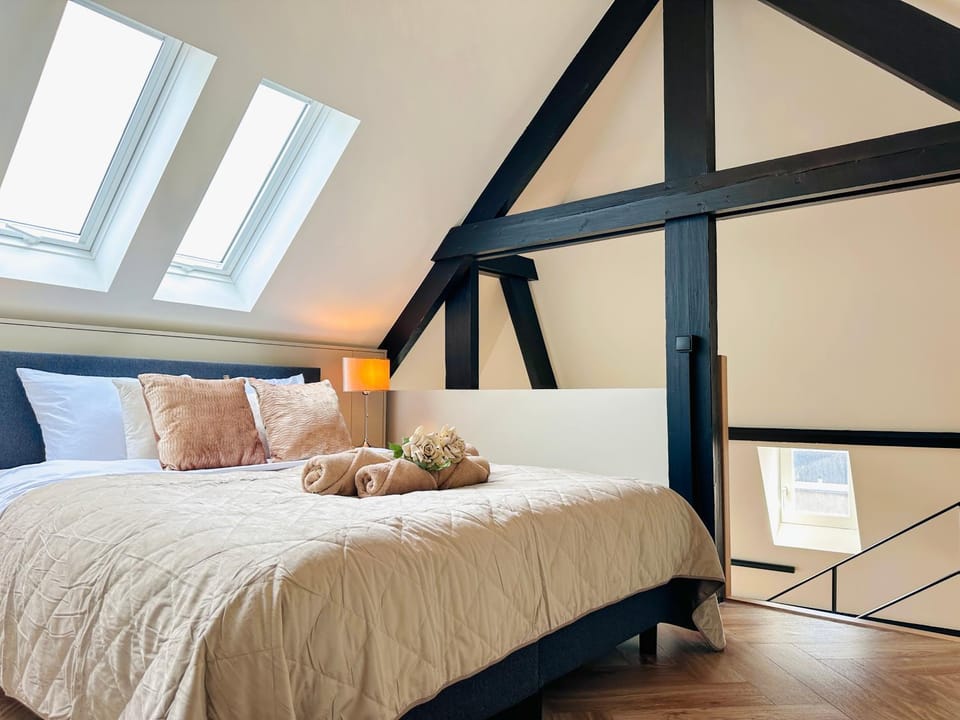 Cooth's Grand Loft with Church View Apartment in Breda