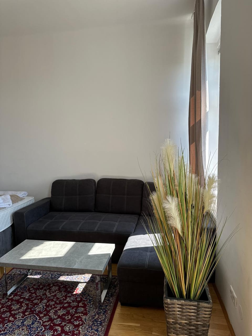 Fiesta Home Vienna Apartment in Vienna