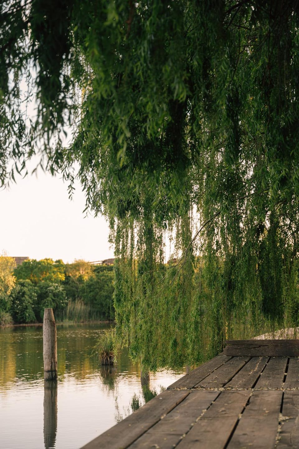 River view