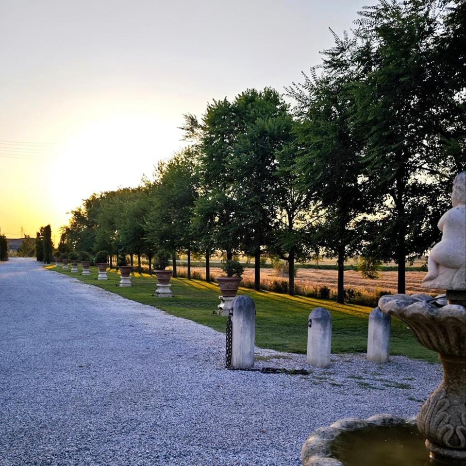 Natural landscape, Garden, Garden view, Sunset