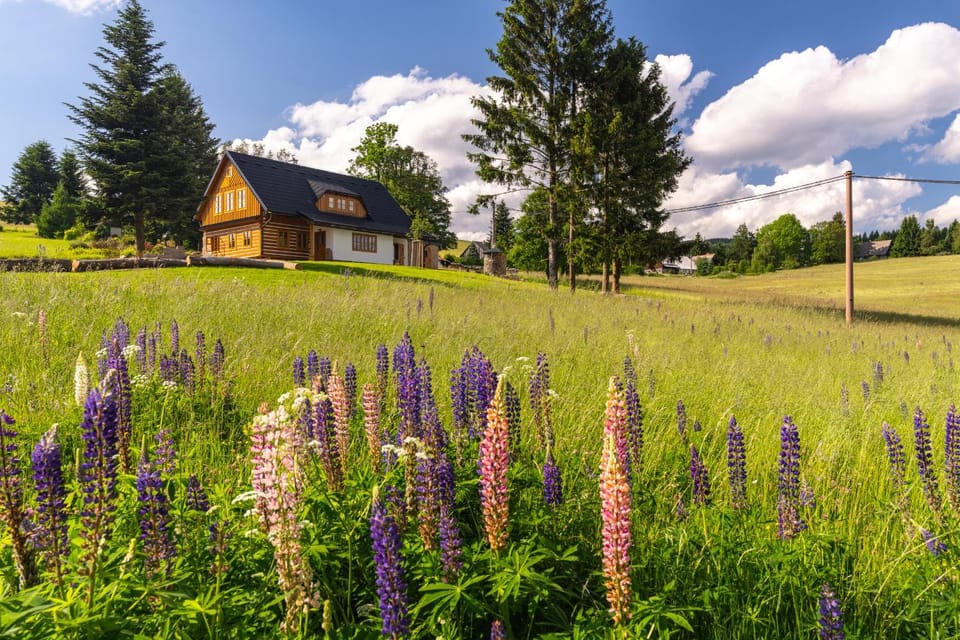 Property building, Garden, Garden view