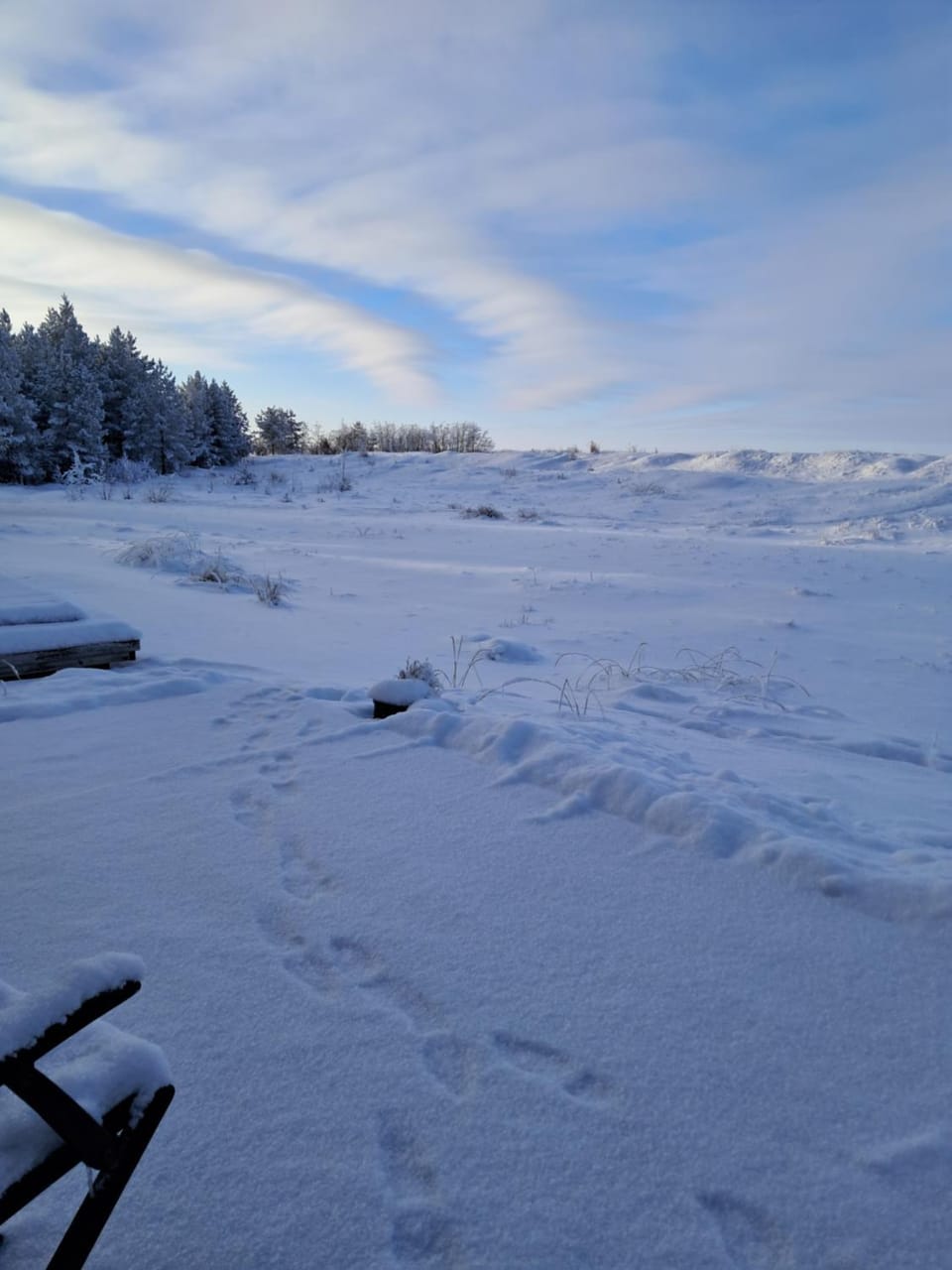 Natural landscape
