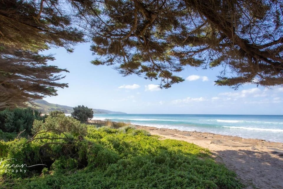 Skenes Creek Beach Retreat Free Wi-Fi Ocean views. House in Victoria