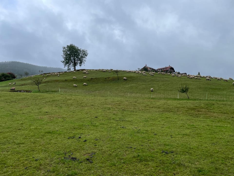 Natural landscape, Area and facilities