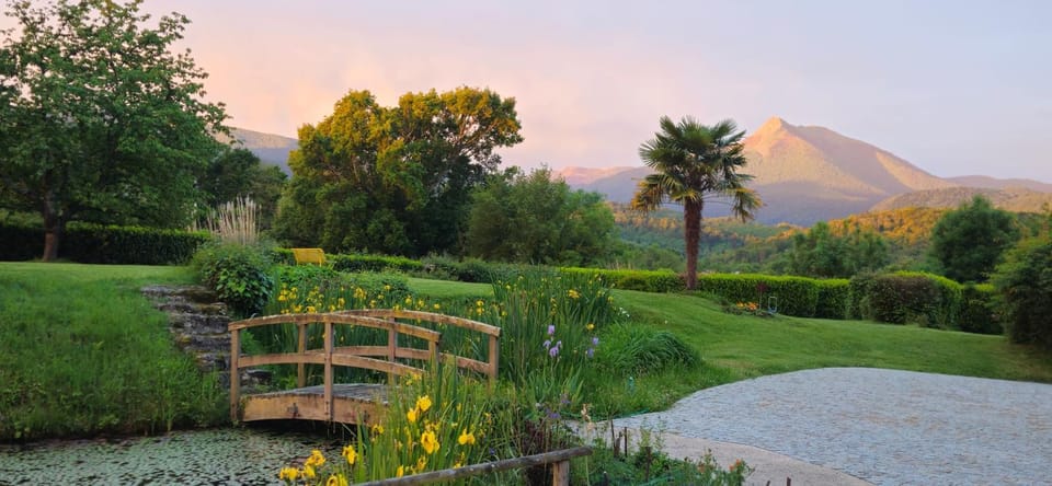 Natural landscape, Garden, Mountain view