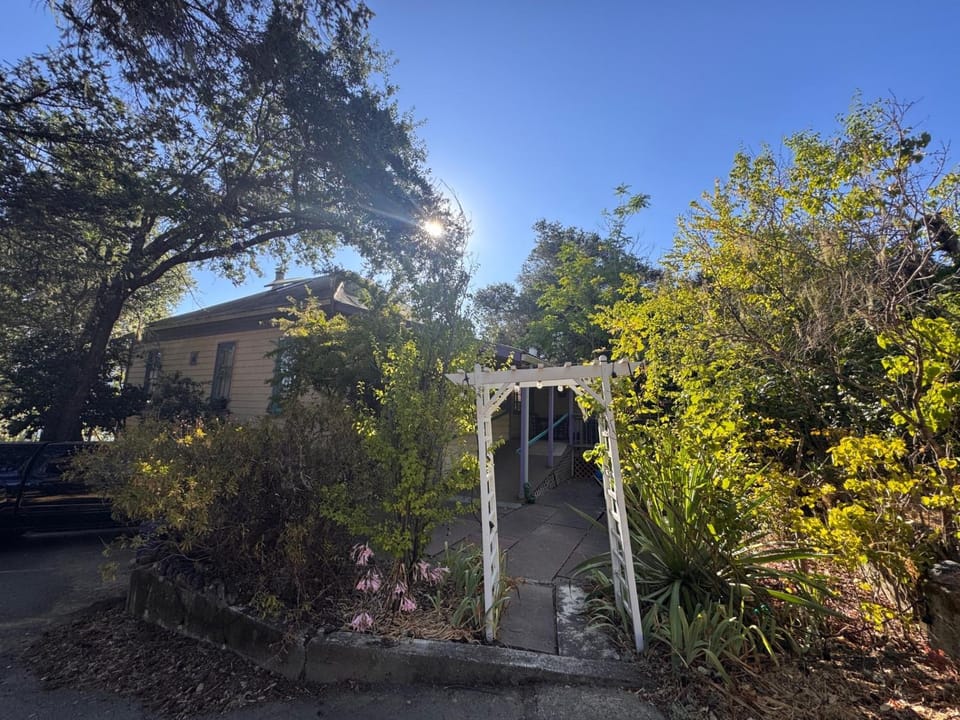 Property building, Day, Garden