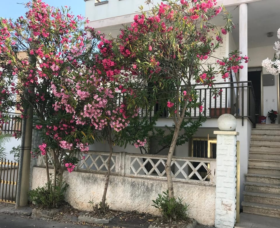 Case al mare in Salento - T3 Apartment in Apulia