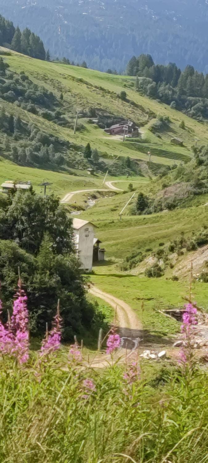 Natural landscape