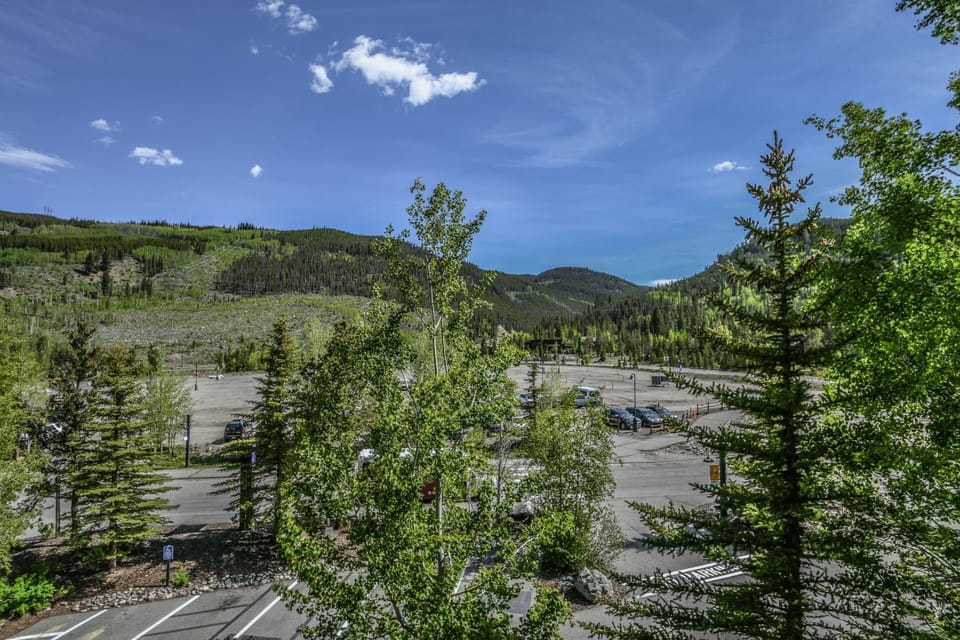 Silver Mill 8226 by SummitCove Lodging in Colorado House in Keystone