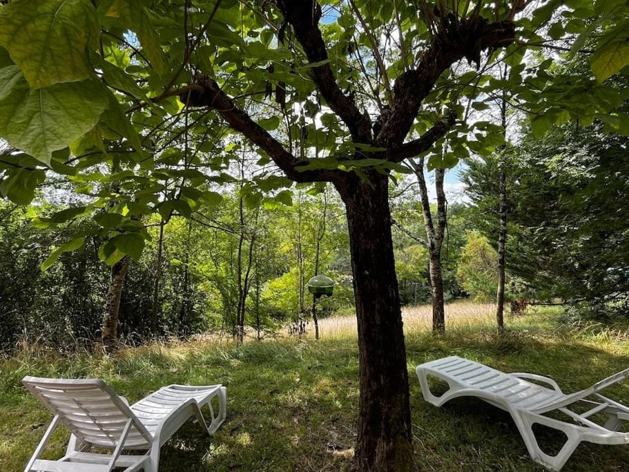 Garden, Garden view
