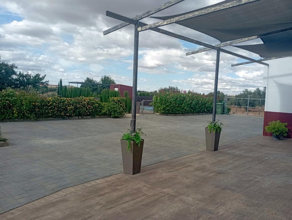 Patio, Garden, Garden, Garden view