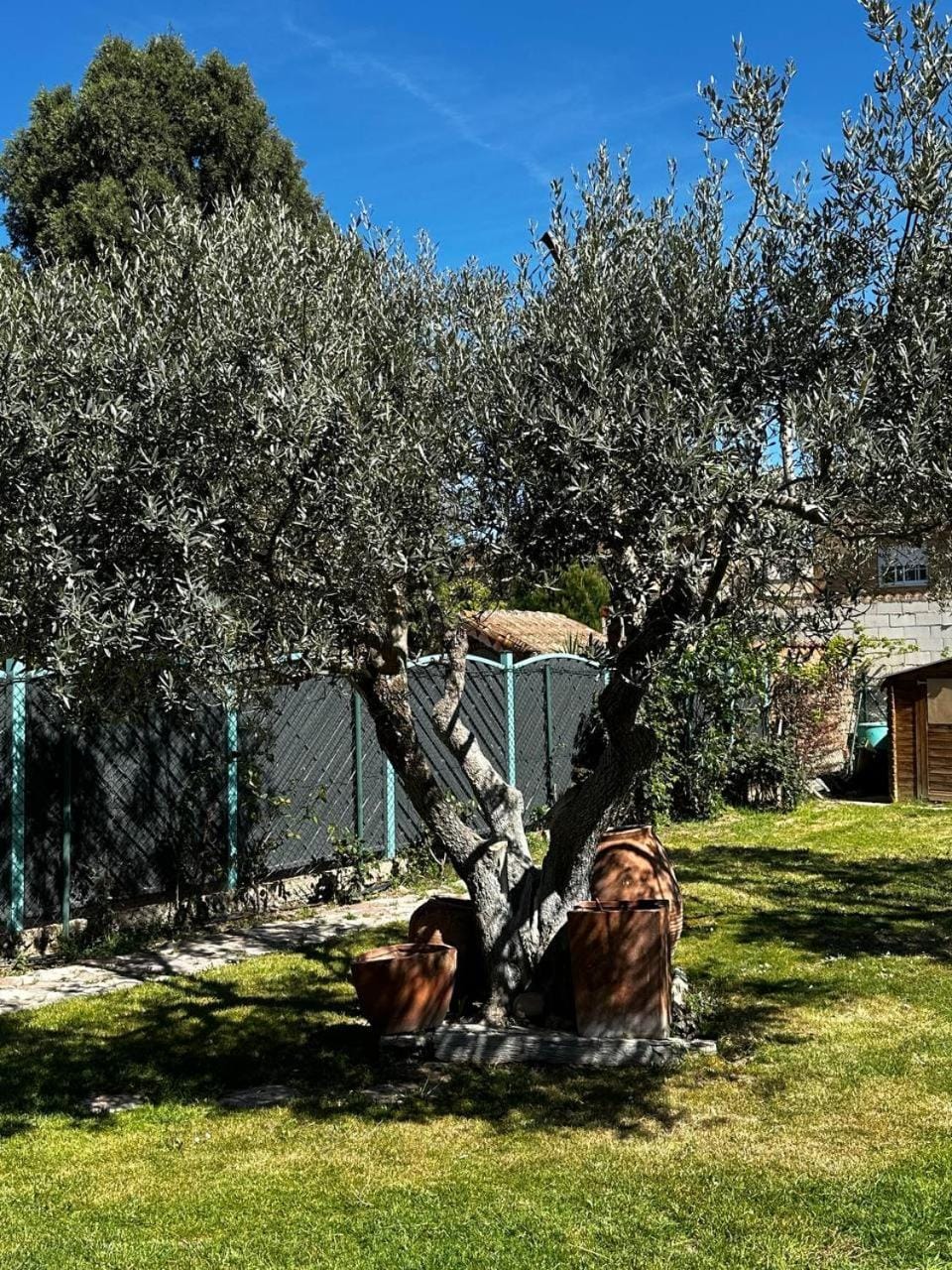 Garden, Garden view, Garden view