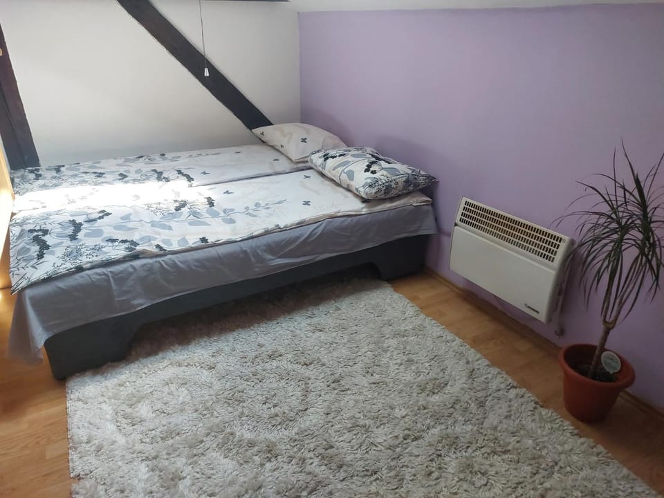 Private room in aparthmanELY Apartment in Sarajevo