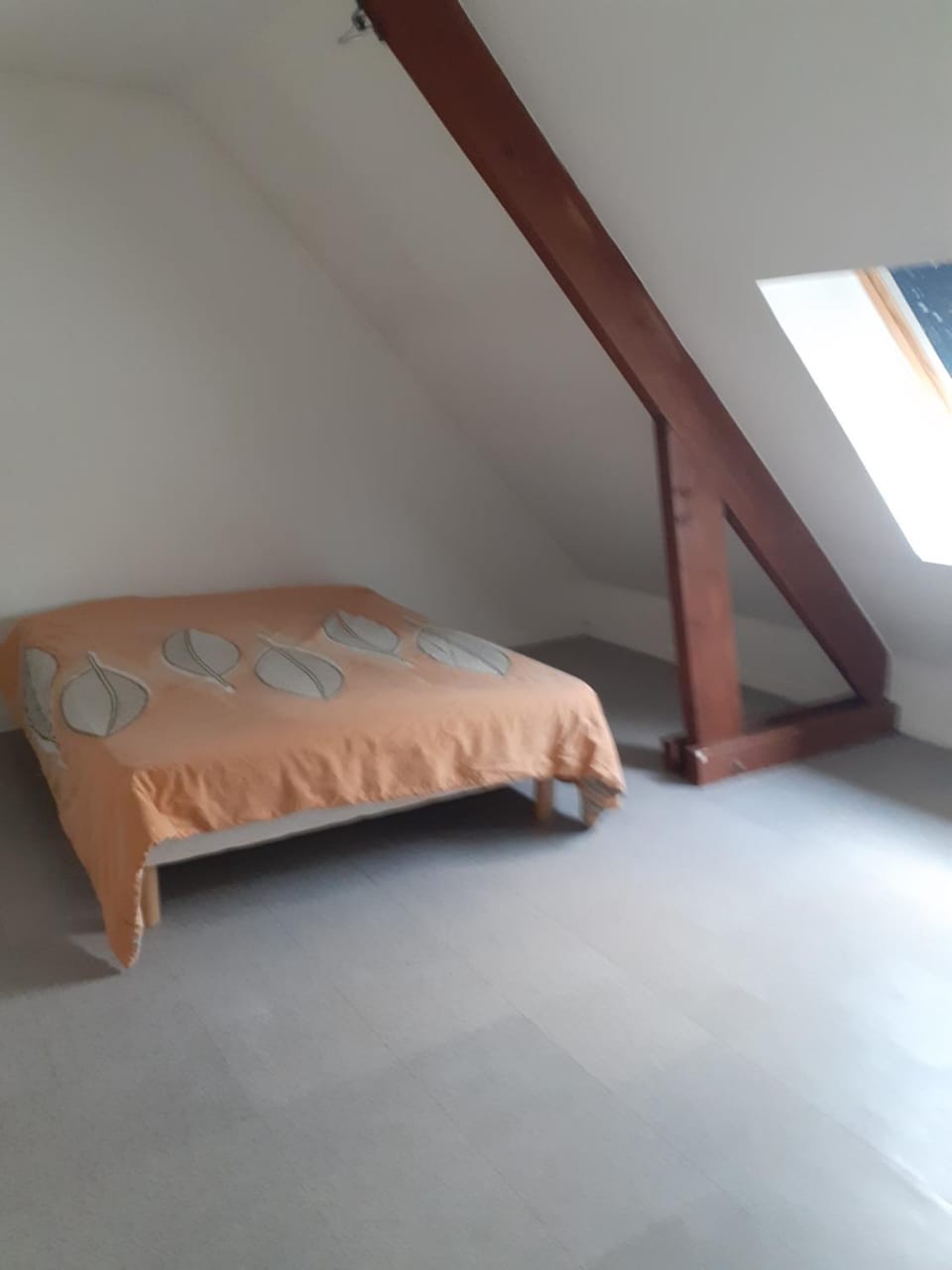 Appartement 3 pièces cuisine salle de bain près du parc de Champigny-sur-Marne Apartment in Nogent-sur-Marne