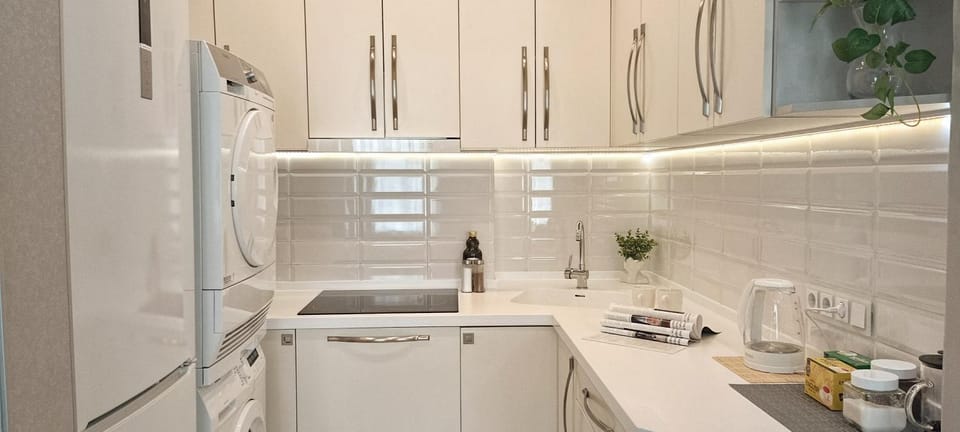 Kitchen or kitchenette, dishwasher, stove