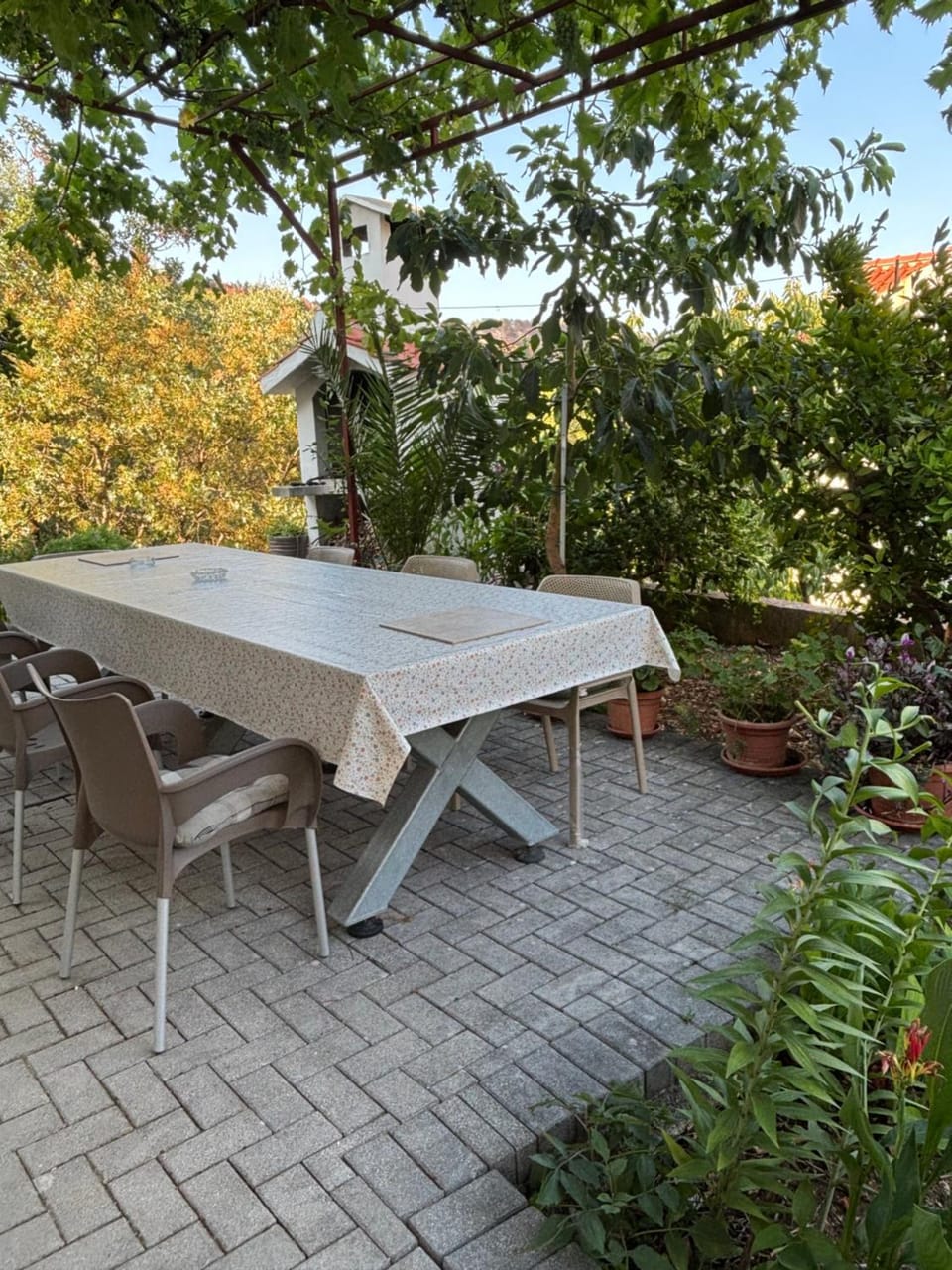 Garden view
