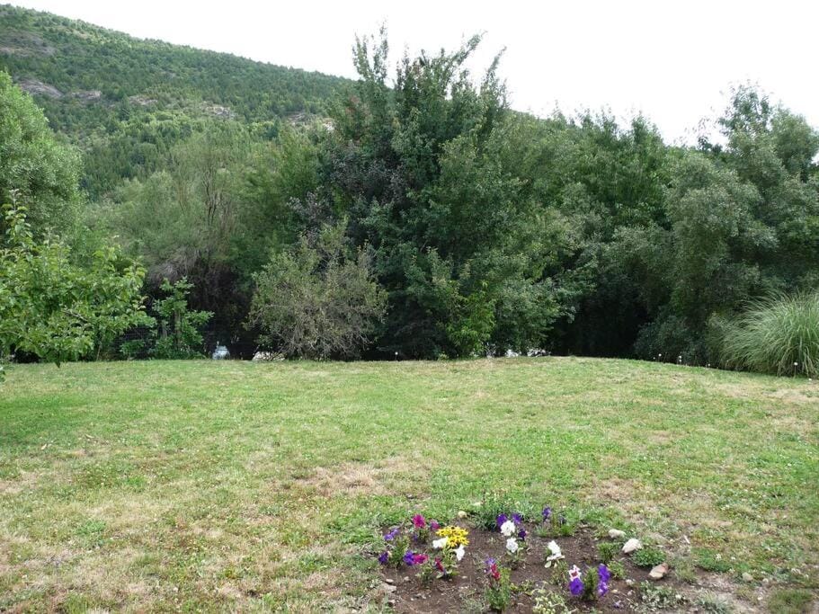 Natural landscape, Garden, Mountain view