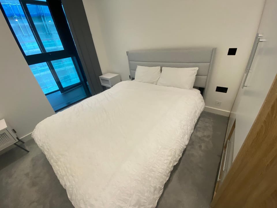 Luxury Apartment near Canary Wharf-O2-Excel-Stratford-Tower Hill-Bank-London Bridge-Bond street Apartment in London