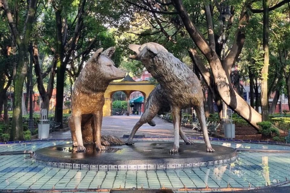 Viñedito del coyote, Coyoacán Apartment in Mexico City