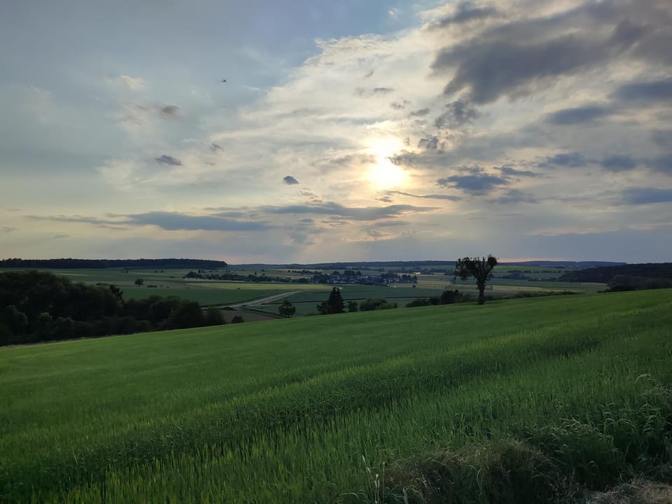 Natural landscape