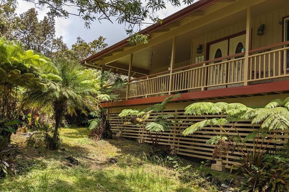 Natural landscape, Garden, View (from property/room), Garden view