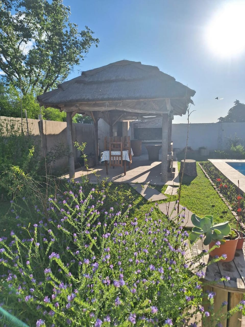 Garden, Garden view