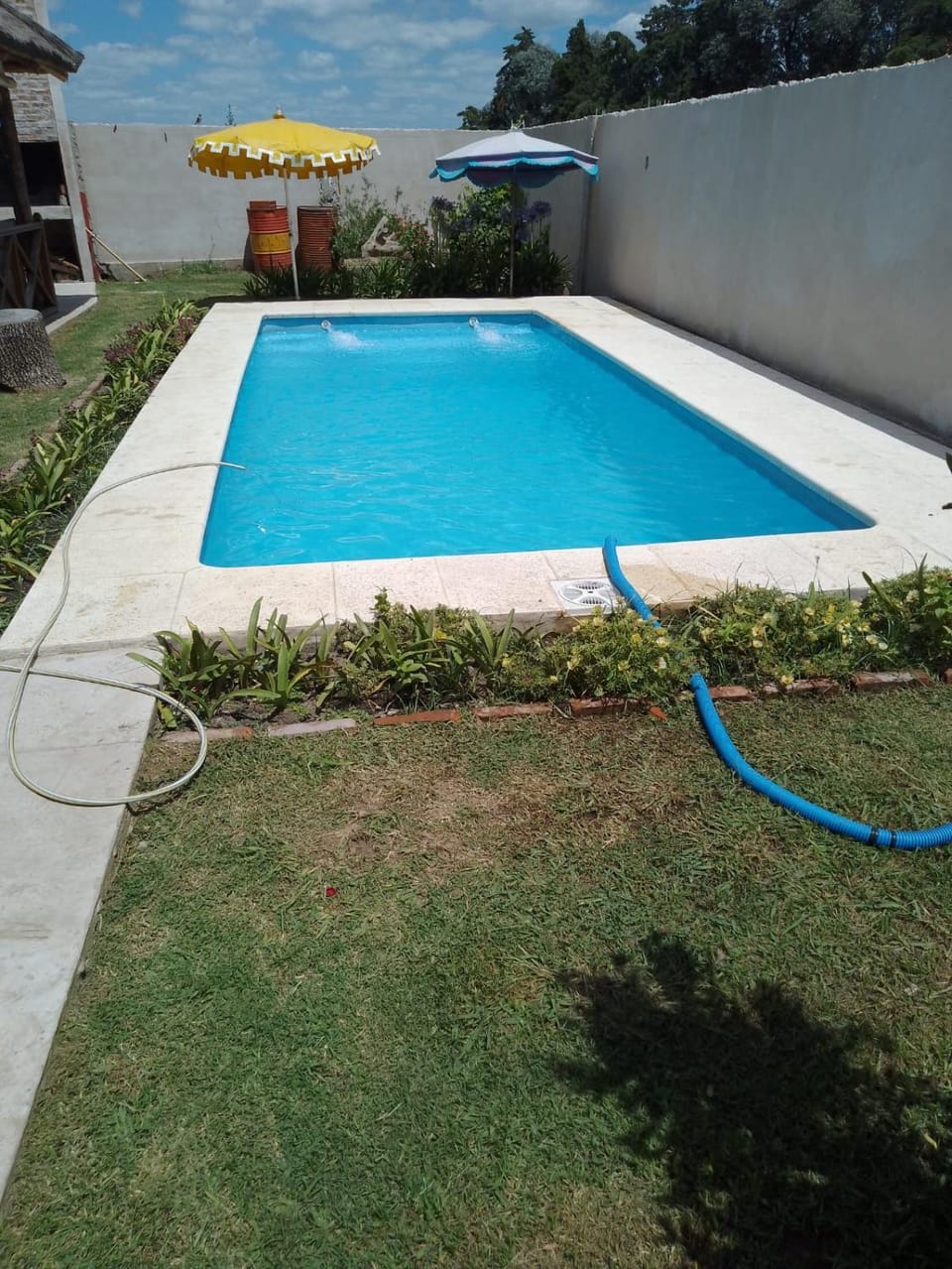 Garden, Swimming pool