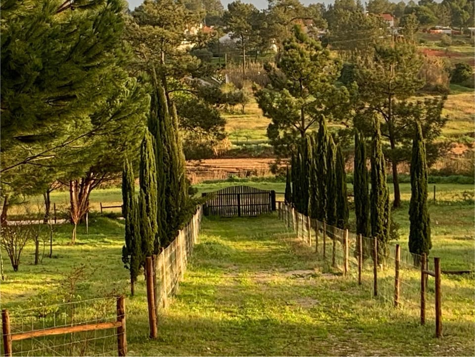 Spring, Natural landscape, Garden, Garden view