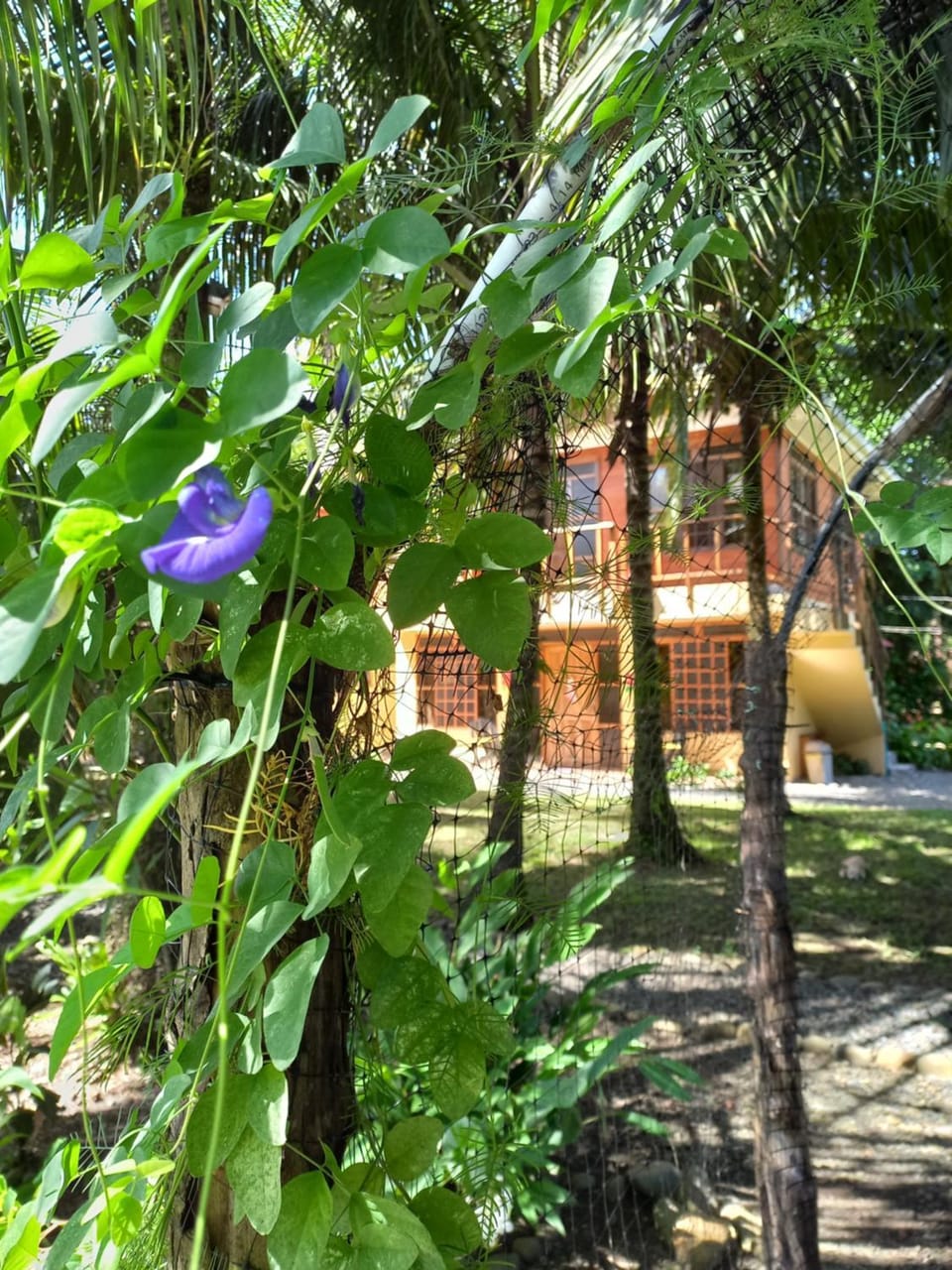 Babilonia Apartment hotel in Cahuita