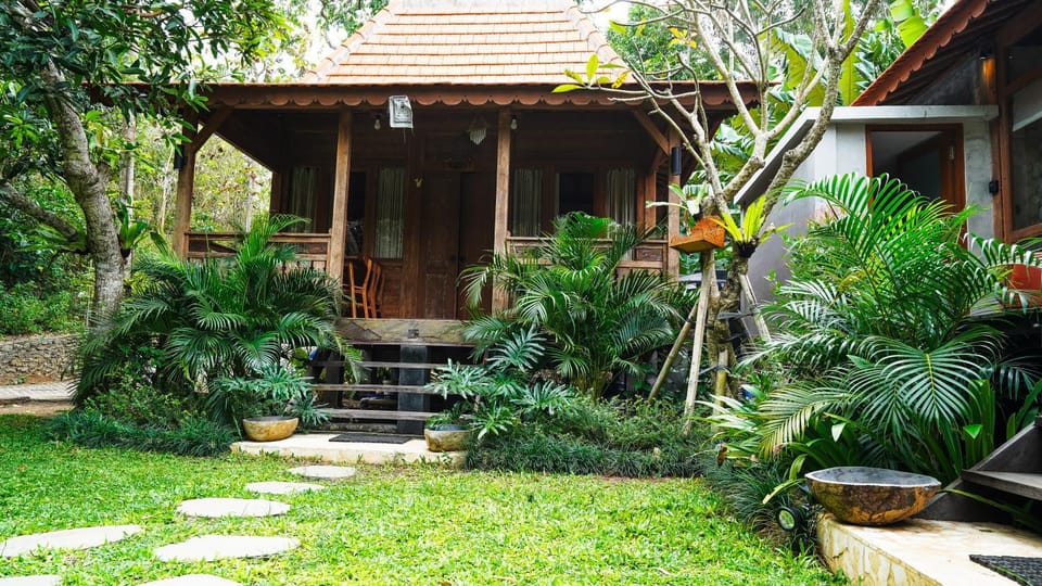 Garden, Balcony/Terrace
